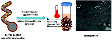 Graphical abstract: Single coating of zinc ferrite renders magnetic nanomotors therapeutic and stable against agglomeration