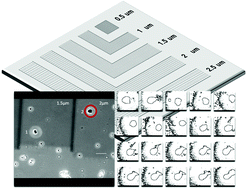 Graphical abstract: Neuronal adhesion and growth on nanopatterned EA5-POPC synthetic membranes