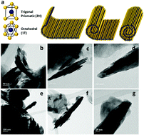 Graphical abstract: A vacancy-driven phase transition in MoX2 (X: S, Se and Te) nanoscrolls