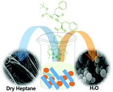 Graphical abstract: Self-assembly of (boron-dipyrromethane)-diphenylalanine conjugates forming chiral supramolecular materials