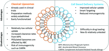 Graphical abstract: nCVTs: a hybrid smart tumour targeting platform