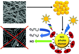 Graphical abstract: Antibacterial nitric oxide- and singlet oxygen-releasing polystyrene nanoparticles responsive to light and temperature triggers