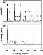 Graphical abstract: Phonon mode transformation in size-evolved solution-processed inorganic lead halide perovskite