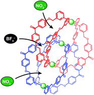 Graphical abstract: Site-selective anion recognition of an interlocked dimer