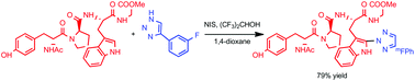 Graphical abstract: Post-synthetic modification of tryptophan containing peptides via NIS mediation