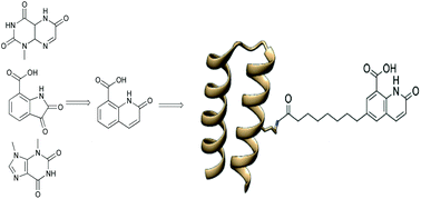 Graphical abstract: High-affinity recognition of the human C-reactive protein independent of phosphocholine