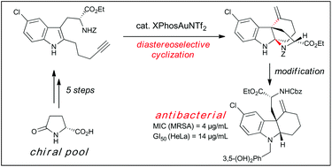 Graphical abstract: Diastereoselective synthesis and biological evaluation of enantiomerically pure tricyclic indolines