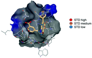 Graphical abstract: Evaluation of ligand-based NMR screening methods to characterize small molecule binding to HIV-1 glycoprotein-41