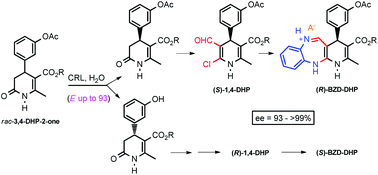 Graphical abstract: Chemoenzymatic synthesis of optically active phenolic 3,4-dihydropyridin-2-ones: a way to access enantioenriched 1,4-dihydropyridine and benzodiazepine derivatives