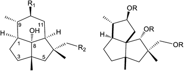 Graphical abstract: The formation of sesquiterpenoid presilphiperfolane and cameroonane metabolites in the Bcbot4 null mutant of Botrytis cinerea