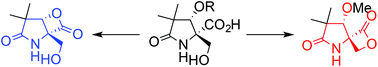 Graphical abstract: Synthesis and bioactivity of fused- and spiro-β-lactone-lactam systems
