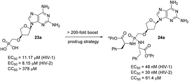 Graphical abstract: Synthesis and antiviral evaluation of base-modified deoxythreosyl nucleoside phosphonates