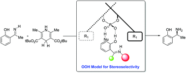 Graphical abstract: Transfer hydrogenation of ortho-hydroxybenzophenone ketimines catalysed by BINOL-derived phosphoric acid occurs by a 14-membered bifunctional transition structure