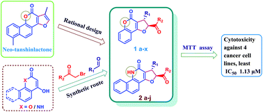 Graphical abstract: An efficient one-pot approach for the regio- and diastereoselective synthesis of trans-dihydrofuran derivatives: cytotoxicity and DNA-binding studies