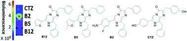 Graphical abstract: New bioluminescent coelenterazine derivatives with various C-6 substitutions