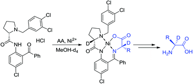 Graphical abstract: Asymmetric synthesis of α-deuterated α-amino acids