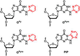 Graphical abstract: Synthesis of oligonucleotides containing 2-N-heteroarylguanine residues and their effect on duplex/triplex stability