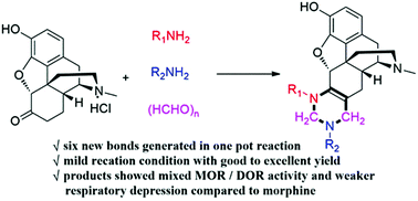Graphical abstract: A one-pot multicomponent approach to a new series of morphine derivatives and their biological evaluation