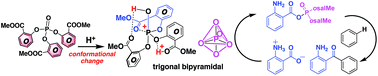 Graphical abstract: Electrophilic activation of aminocarboxylic acid by phosphate ester promotes Friedel–Crafts acylation by overcoming charge–charge repulsion