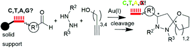 Graphical abstract: Exploration of a Au(i)-mediated three-component reaction for the synthesis of DNA-tagged highly substituted spiroheterocycles