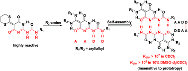 Graphical abstract: A modular approach towards functionalized highly stable self-complementary quadruple hydrogen bonded systems