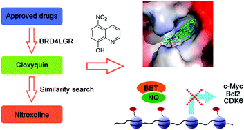 Graphical abstract: Discovery of novel BET inhibitors by drug repurposing of nitroxoline and its analogues