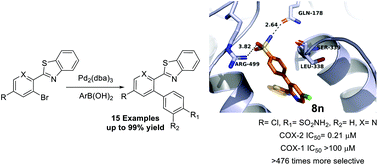 Graphical abstract: Ligand-free, palladacycle-facilitated Suzuki coupling of hindered 2-arylbenzothiazole derivatives yields potent and selective COX-2 inhibitors