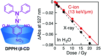 Graphical abstract: Analysis of redox states of protic and aprotic solutions irradiated by low linear energy transfer carbon-ion beams using a 2,2-diphenyl-1-picrylhydrazyl radical