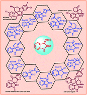 Graphical abstract: Catalytic synthesis of 3-aminooxindoles via addition to isatin imine: an update