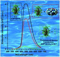 Graphical abstract: Photoinduced electron transfer across an organic molecular wall: octa acid encapsulated ESIPT dyes as electron donors