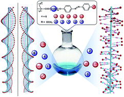 Graphical abstract: Induction of supramolecular chirality by chiral solvation in achiral Azo polymers with different spacer lengths and push–pull electronic substituents: where will chiral induction appear?