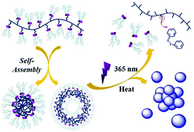 Graphical abstract: Tunable assembly and disassembly of responsive supramolecular polymer brushes