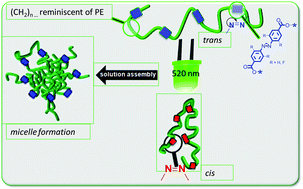 Graphical abstract: Synthesis of photoresponsive main-chain oligomers with azobenzene moieties via ADMET oligomerization and their micellization properties