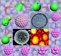 Graphical abstract: Fast swelling strategy for flower-like micro-sized colloidal surfactants with controllable patches by regulating the Tg of seed particles