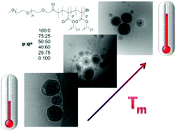 Graphical abstract: Controlling the melting transition of semi-crystalline self-assembled block copolymer aggregates: controlling release rates of ibuprofen