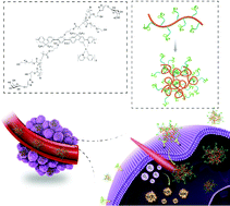 Graphical abstract: A water-soluble phosphorescent conjugated polymer brush for tumor-targeted photodynamic therapy