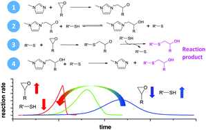 Graphical abstract: Analysis of the reaction mechanism of the thiol–epoxy addition initiated by nucleophilic tertiary amines