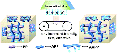 Graphical abstract: Functionalized allylamine polyphosphate as a novel multifunctional highly efficient fire retardant for polypropylene