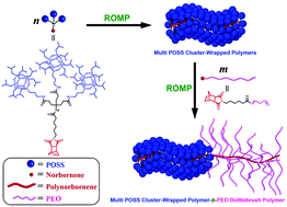 Graphical abstract: Multi-POSS cluster-wrapped polymers and their block copolymers with a PEO bottlebrush polymer: synthesis and aggregation