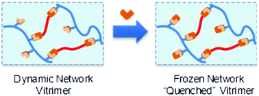 Graphical abstract: Polydimethylsiloxane quenchable vitrimers