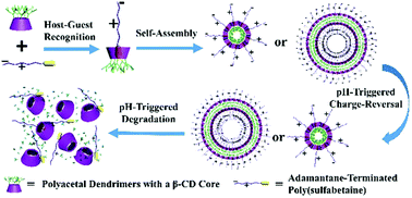 Graphical abstract: Charge-reversible and pH-responsive biodegradable micelles and vesicles from linear-dendritic supramolecular amphiphiles for anticancer drug delivery