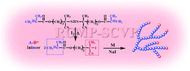 Graphical abstract: Self-condensing reversible complexation-mediated copolymerization for highly branched polymers with in situ formed inimers