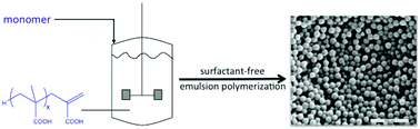 Graphical abstract: In situ stabilizer formation from methacrylic acid macromonomers in emulsion polymerization