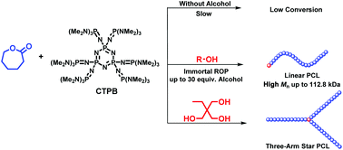 Graphical abstract: Synthesis of linear and star poly(ε-caprolactone) with controlled and high molecular weights via cyclic trimeric phosphazene base catalyzed ring-opening polymerization