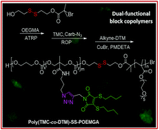 Graphical abstract: Reduction-responsive dithiomaleimide-based polymeric micelles for controlled anti-cancer drug delivery and bioimaging