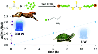 Graphical abstract: Ultra-fast aqueous polymerisation of acrylamides by high power visible light direct photoactivation RAFT polymerisation