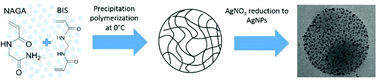 Graphical abstract: Poly(N-acryloylglycinamide) microgels as nanocatalyst platform