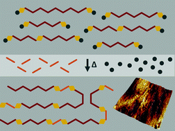 Graphical abstract: Kinetic aspects of formation and processing of polycaprolactone polyurethanes in situ from a blocked isocyanate