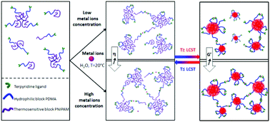 Graphical abstract: The effect of metal ions on the viscoelastic properties of thermosensitive sol-to-gel reversible metallo-supramolecular hydrogels
