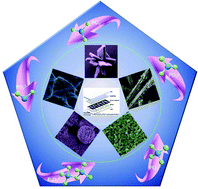 Graphical abstract: Metal (M = Co, Ni) phosphate based materials for high-performance supercapacitors